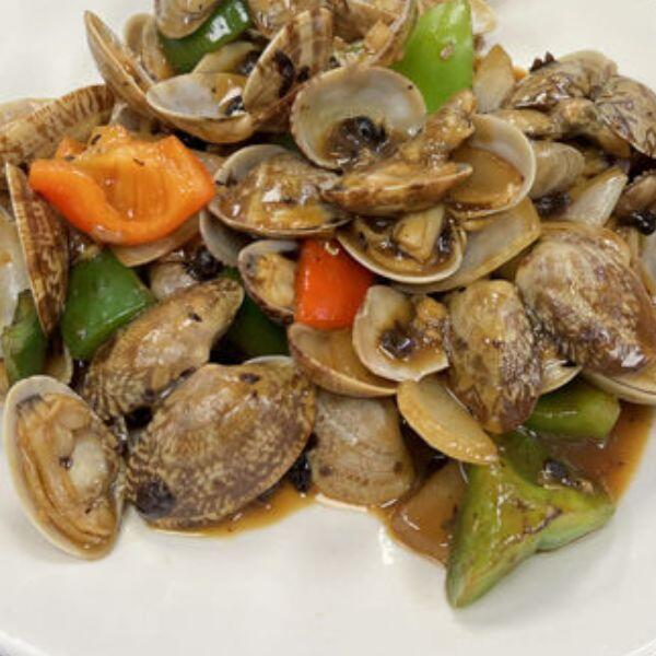 Clams